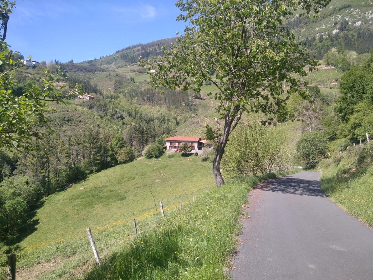 Casa Rural Zulueta Azcoitia المظهر الخارجي الصورة